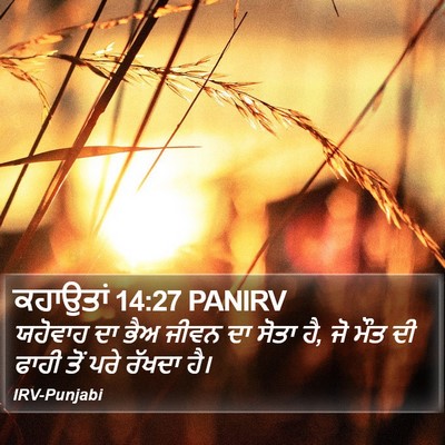 ਕਹਾਉਤਾਂ 14:27 PANIRV Bible Verse Image