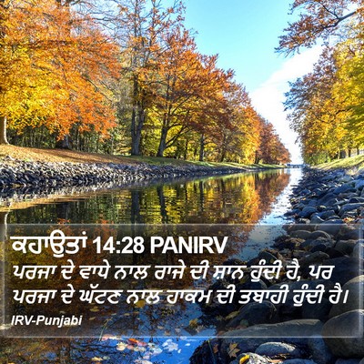 ਕਹਾਉਤਾਂ 14:28 PANIRV Bible Verse Image
