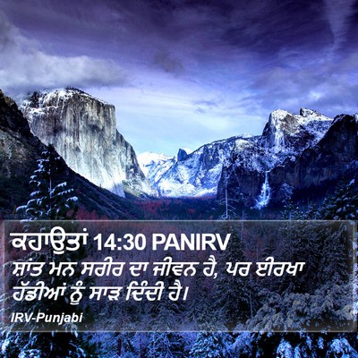 ਕਹਾਉਤਾਂ 14:30 PANIRV Bible Verse Image
