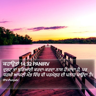 ਕਹਾਉਤਾਂ 14:32 PANIRV Bible Verse Image