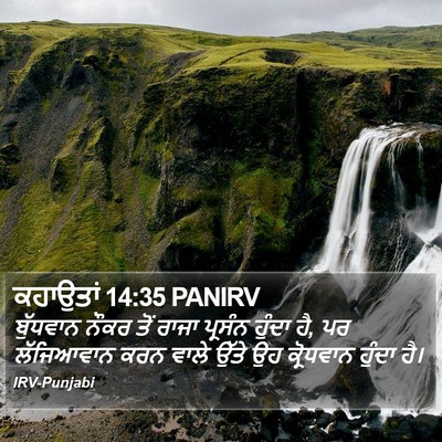 ਕਹਾਉਤਾਂ 14:35 PANIRV Bible Verse Image
