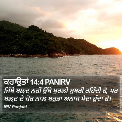 ਕਹਾਉਤਾਂ 14:4 PANIRV Bible Verse Image