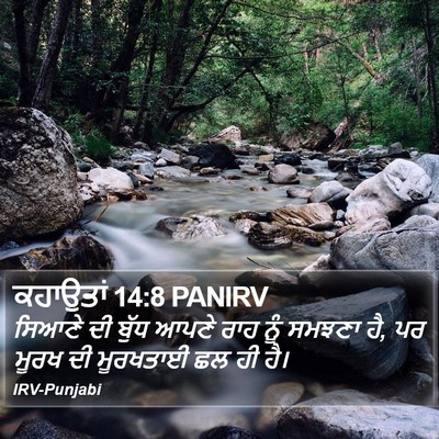 ਕਹਾਉਤਾਂ 14:8 PANIRV Bible Verse Image