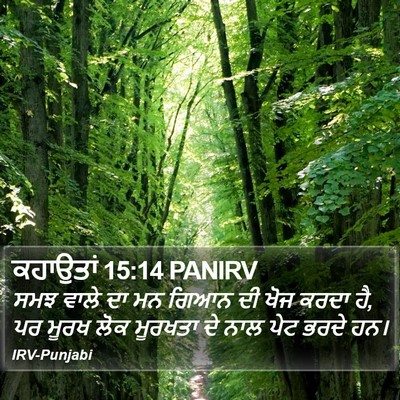 ਕਹਾਉਤਾਂ 15:14 PANIRV Bible Verse Image