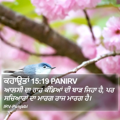 ਕਹਾਉਤਾਂ 15:19 PANIRV Bible Verse Image