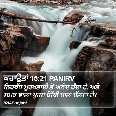 ਕਹਾਉਤਾਂ 15:21 PANIRV Bible Verse Image