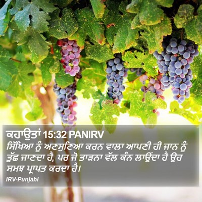 ਕਹਾਉਤਾਂ 15:32 PANIRV Bible Verse Image