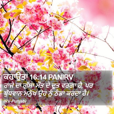 ਕਹਾਉਤਾਂ 16:14 PANIRV Bible Verse Image