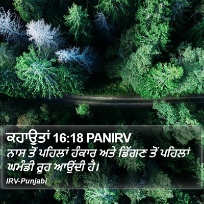 ਕਹਾਉਤਾਂ 16:18 PANIRV Bible Verse Image