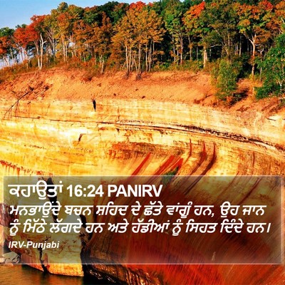 ਕਹਾਉਤਾਂ 16:24 PANIRV Bible Verse Image