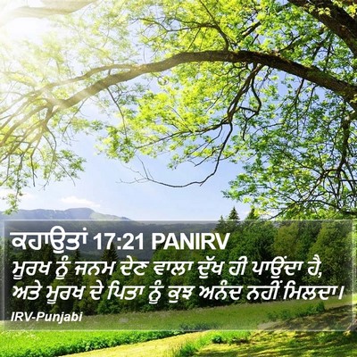 ਕਹਾਉਤਾਂ 17:21 PANIRV Bible Verse Image