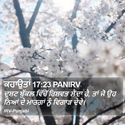 ਕਹਾਉਤਾਂ 17:23 PANIRV Bible Verse Image