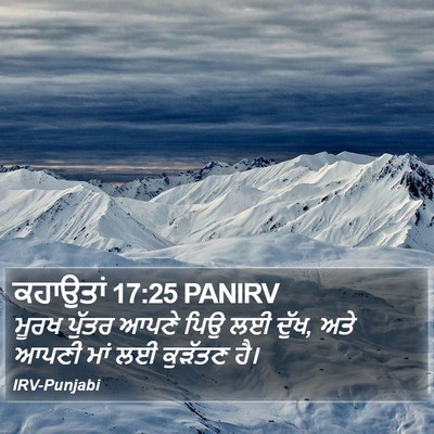 ਕਹਾਉਤਾਂ 17:25 PANIRV Bible Verse Image