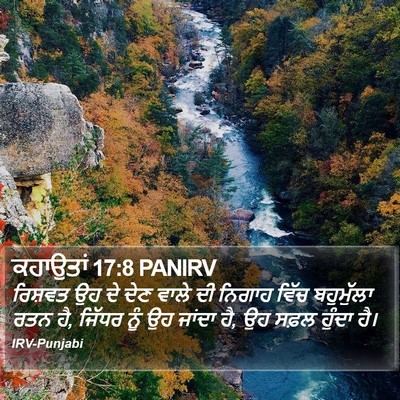 ਕਹਾਉਤਾਂ 17:8 PANIRV Bible Verse Image