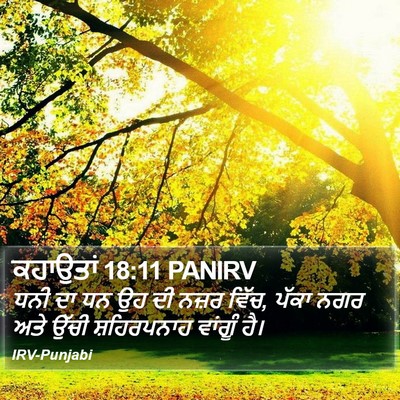 ਕਹਾਉਤਾਂ 18:11 PANIRV Bible Verse Image