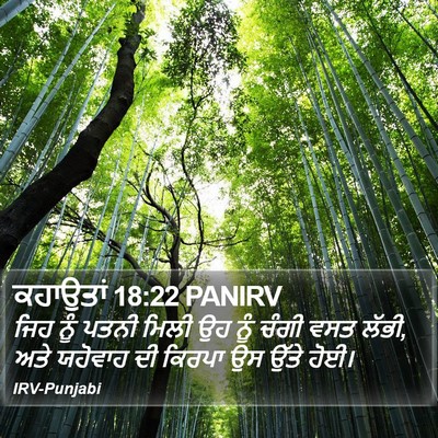 ਕਹਾਉਤਾਂ 18:22 PANIRV Bible Verse Image