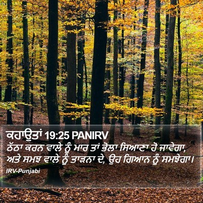 ਕਹਾਉਤਾਂ 19:25 PANIRV Bible Verse Image