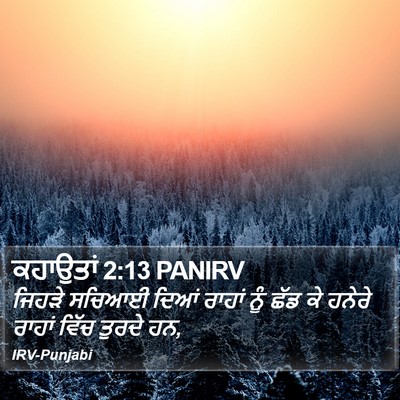 ਕਹਾਉਤਾਂ 2:13 PANIRV Bible Verse Image
