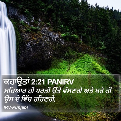 ਕਹਾਉਤਾਂ 2:21 PANIRV Bible Verse Image