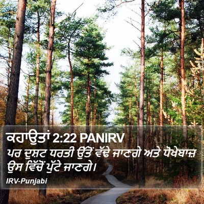 ਕਹਾਉਤਾਂ 2:22 PANIRV Bible Verse Image