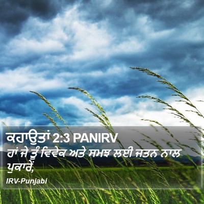 ਕਹਾਉਤਾਂ 2:3 PANIRV Bible Verse Image