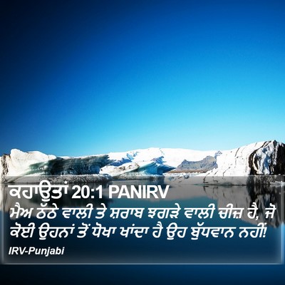 ਕਹਾਉਤਾਂ 20:1 PANIRV Bible Verse Image