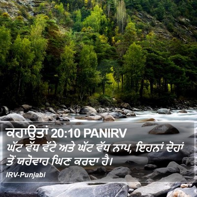 ਕਹਾਉਤਾਂ 20:10 PANIRV Bible Verse Image