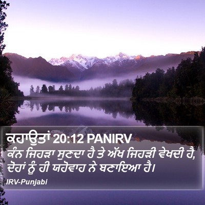 ਕਹਾਉਤਾਂ 20:12 PANIRV Bible Verse Image