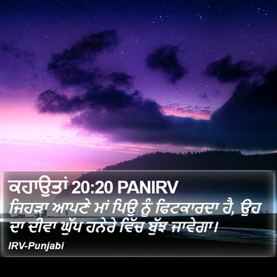 ਕਹਾਉਤਾਂ 20:20 PANIRV Bible Verse Image