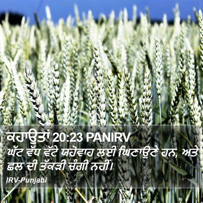 ਕਹਾਉਤਾਂ 20:23 PANIRV Bible Verse Image
