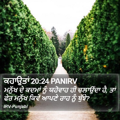 ਕਹਾਉਤਾਂ 20:24 PANIRV Bible Verse Image