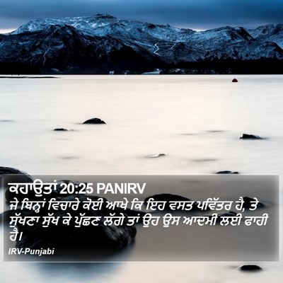ਕਹਾਉਤਾਂ 20:25 PANIRV Bible Verse Image