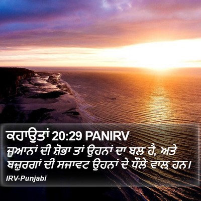 ਕਹਾਉਤਾਂ 20:29 PANIRV Bible Verse Image