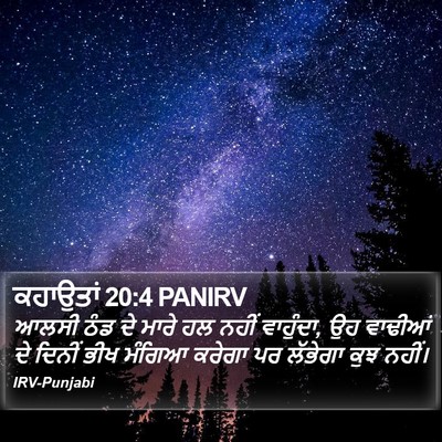 ਕਹਾਉਤਾਂ 20:4 PANIRV Bible Verse Image