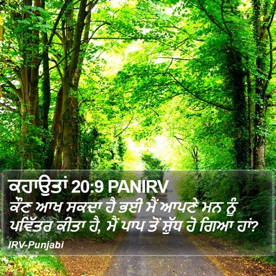 ਕਹਾਉਤਾਂ 20:9 PANIRV Bible Verse Image