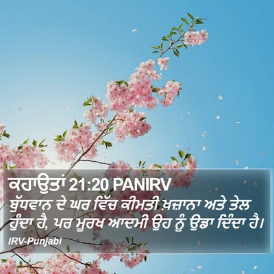 ਕਹਾਉਤਾਂ 21:20 PANIRV Bible Verse Image