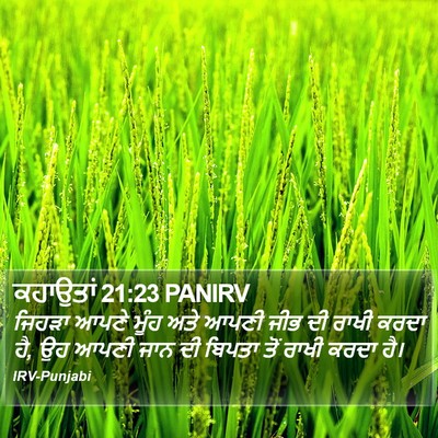 ਕਹਾਉਤਾਂ 21:23 PANIRV Bible Verse Image