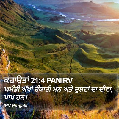 ਕਹਾਉਤਾਂ 21:4 PANIRV Bible Verse Image