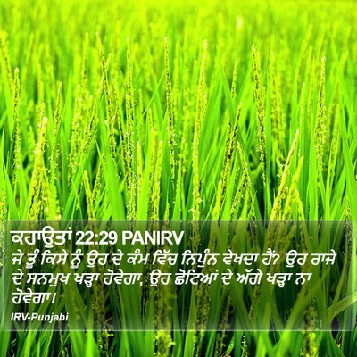 ਕਹਾਉਤਾਂ 22:29 PANIRV Bible Verse Image