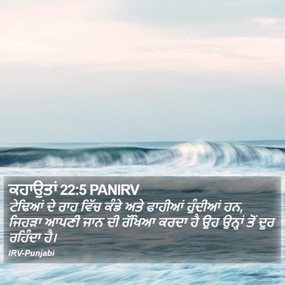 ਕਹਾਉਤਾਂ 22:5 PANIRV Bible Verse Image