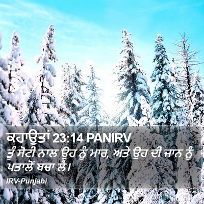 ਕਹਾਉਤਾਂ 23:14 PANIRV Bible Verse Image