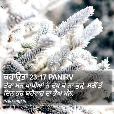 ਕਹਾਉਤਾਂ 23:17 PANIRV Bible Verse Image