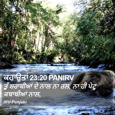 ਕਹਾਉਤਾਂ 23:20 PANIRV Bible Verse Image
