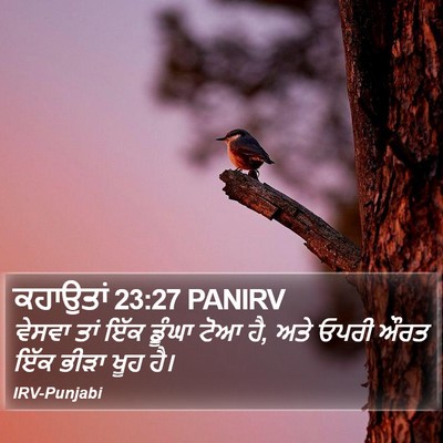 ਕਹਾਉਤਾਂ 23:27 PANIRV Bible Verse Image
