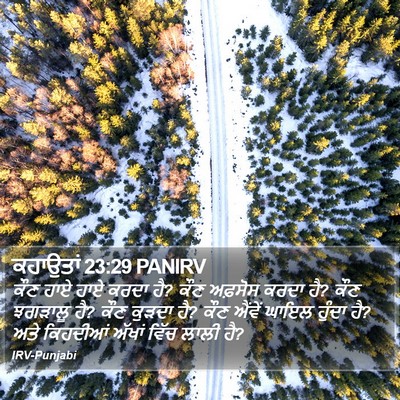 ਕਹਾਉਤਾਂ 23:29 PANIRV Bible Verse Image