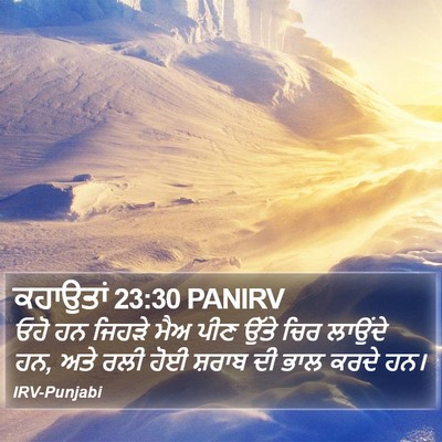 ਕਹਾਉਤਾਂ 23:30 PANIRV Bible Verse Image