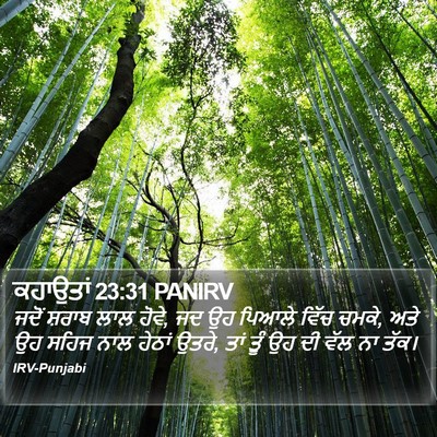 ਕਹਾਉਤਾਂ 23:31 PANIRV Bible Verse Image