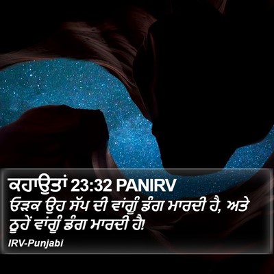 ਕਹਾਉਤਾਂ 23:32 PANIRV Bible Verse Image