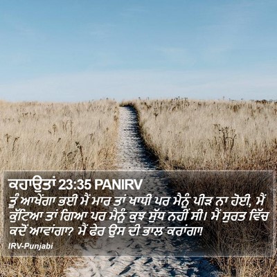 ਕਹਾਉਤਾਂ 23:35 PANIRV Bible Verse Image