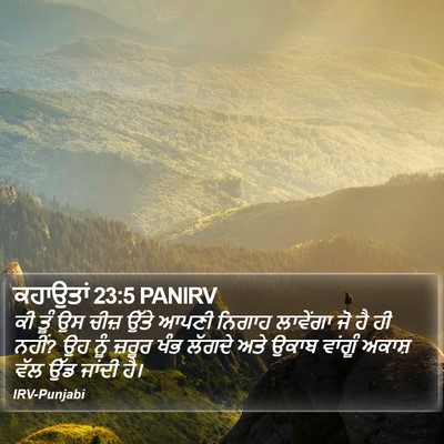 ਕਹਾਉਤਾਂ 23:5 PANIRV Bible Verse Image